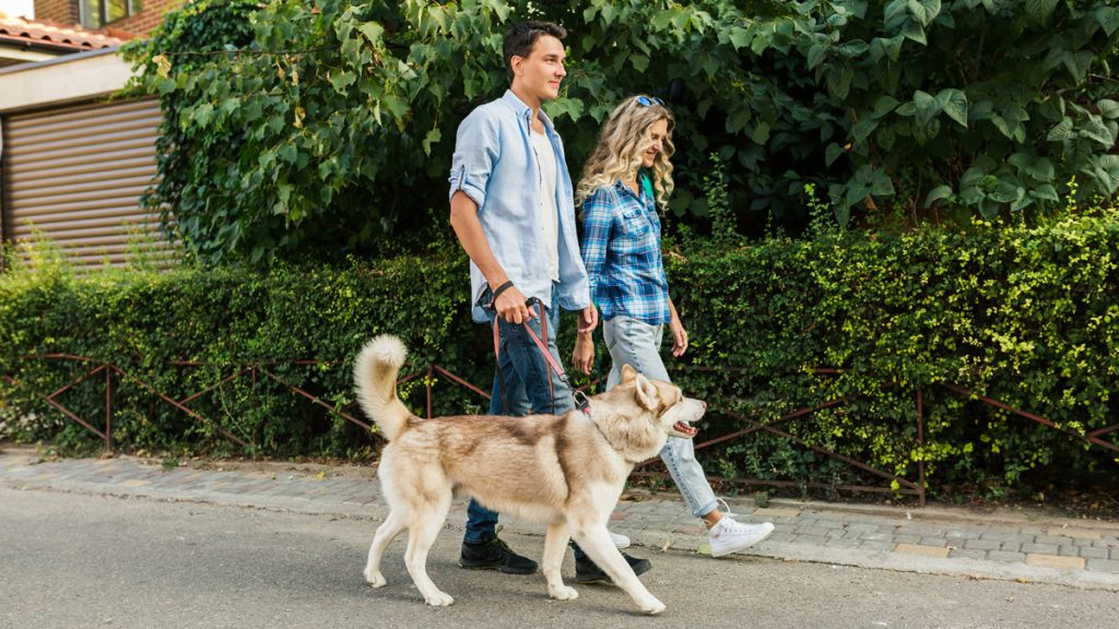 Walking Calculator Archives