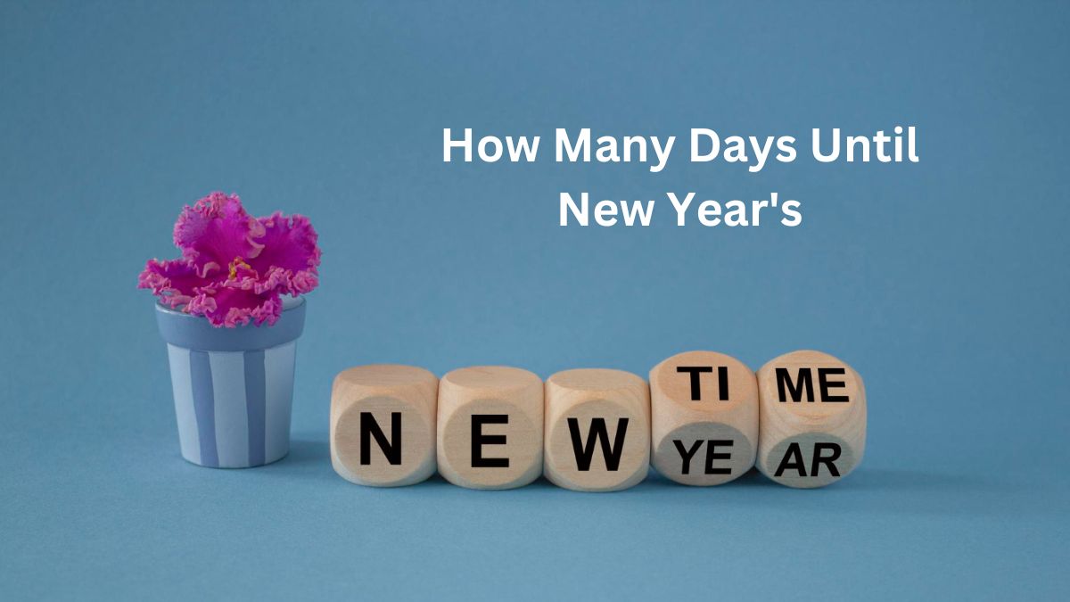 How Many Days Until New Year s BizCalcs