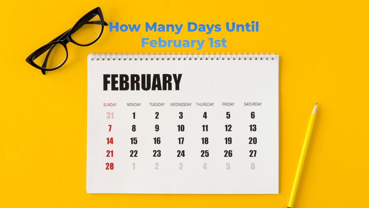 How Many Days Until February 1st BizCalcs